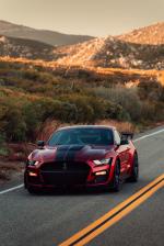 Ford Mustang Shelby GT500 2019 года